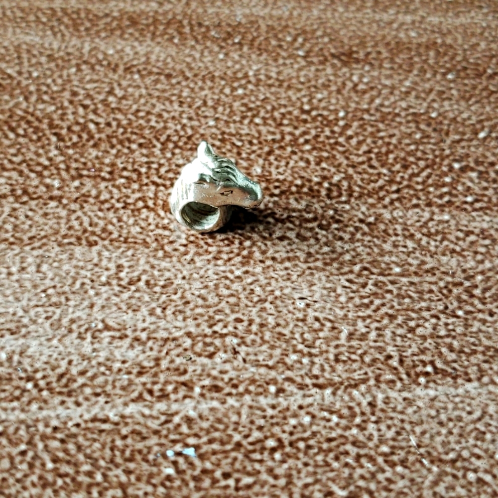 Pandora charm